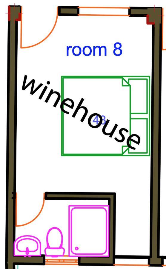 Why Not Rooftop Party Hostel Πλάγια Ντελ Κάρμεν Εξωτερικό φωτογραφία